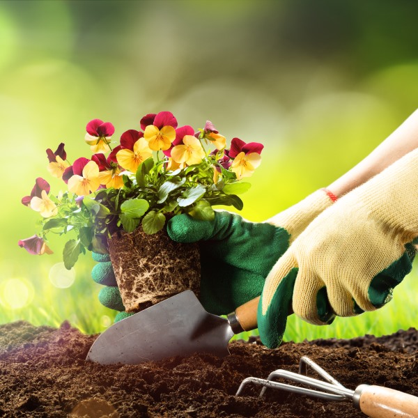 Unsere kostenlose Checkliste zur Gartenarbeit im Frühjahr